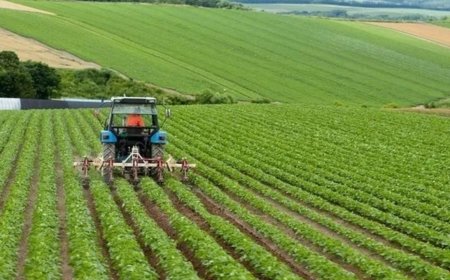 Mazot gübre desteği yattı mı, ne zaman yatacak? ÇKS destek ödemeleri başladı mı?