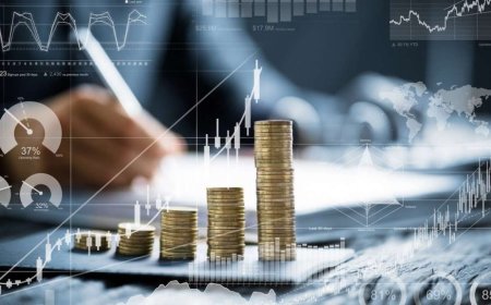 TCMB verileri açıklandı net UYP ocakta 345 milyar dolar açık verdi